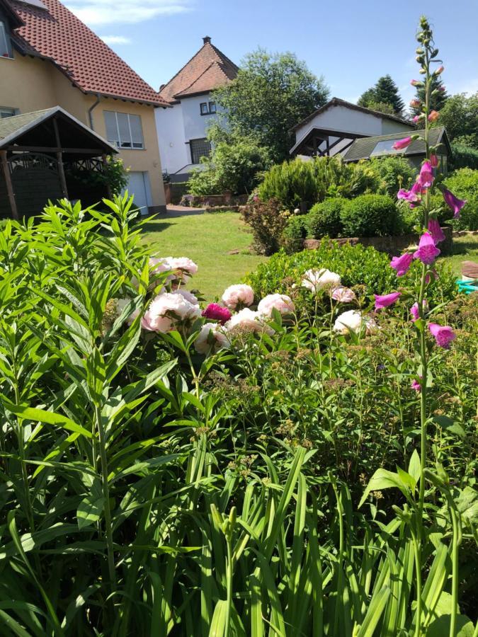 Apartment Gemuetliches Garden View Ramstein-Miesenbach