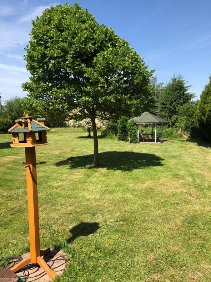 Gemuetliches Garden View Apartment Ramstein-Miesenbach